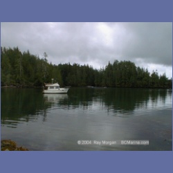 2002_125_Pinkerton_Islands_BarkleySound.html