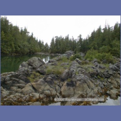 2002_126_Pinkerton_Islands_BarkleySound.html