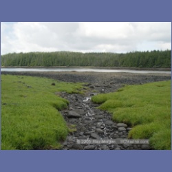 2005_1739_Porcher_Inlet_Kitkatla_Inlet.html