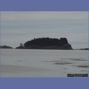 2006_1665_Porcupine_Bay_Chichagof_Island.JPG