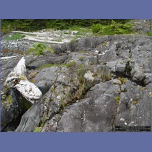 2006_1666_Porcupine_Bay_Chichagof_Island.JPG