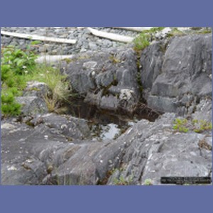 2006_1668_Porcupine_Bay_Chichagof_Island.JPG