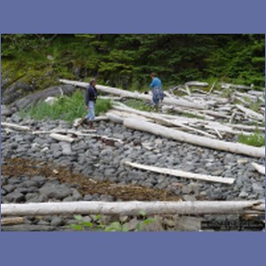 2006_1670_Porcupine_Bay_Chichagof_Island.JPG