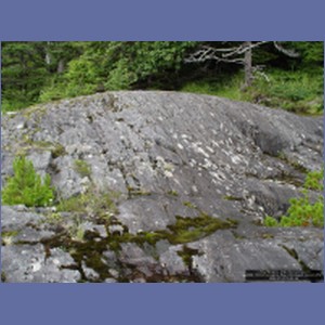 2006_1674_Porcupine_Bay_Chichagof_Island.JPG