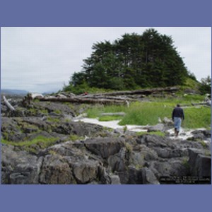 2006_1680_Porcupine_Bay_Chichagof_Island.JPG