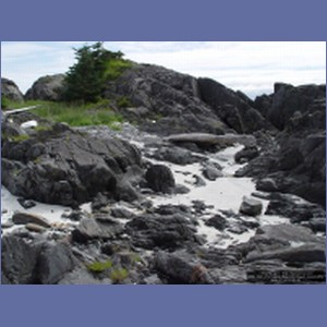 2006_1681_Porcupine_Bay_Chichagof_Island.JPG
