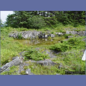 2006_1682_Porcupine_Bay_Chichagof_Island.JPG