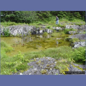 2006_1683_Porcupine_Bay_Chichagof_Island.JPG