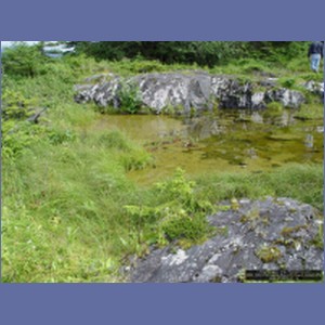 2006_1684_Porcupine_Bay_Chichagof_Island.JPG