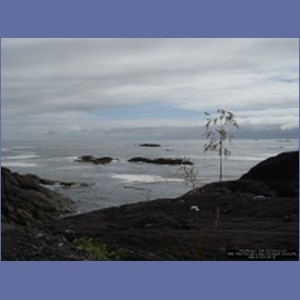 2006_1686_Porcupine_Bay_Chichagof_Island.JPG