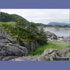 2006_1688_Porcupine_Bay_Chichagof_Island.JPG