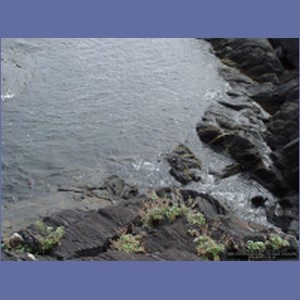 2006_1690_Porcupine_Bay_Chichagof_Island.JPG