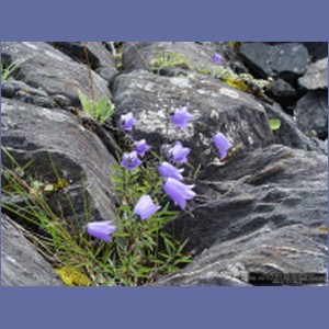 2006_1697_Porcupine_Bay_Chichagof_Island.JPG