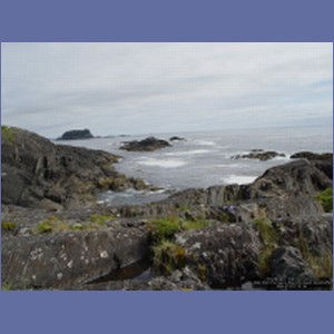 2006_1699_Porcupine_Bay_Chichagof_Island.JPG
