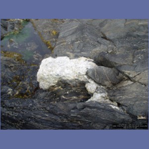 2006_1706_Porcupine_Bay_Chichagof_Island.JPG