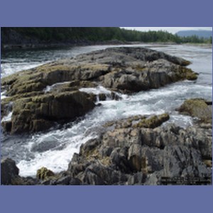 2006_1708_Porcupine_Bay_Chichagof_Island.JPG