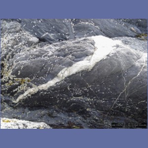 2006_1709_Porcupine_Bay_Chichagof_Island.JPG
