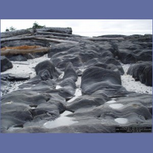 2006_1710_Porcupine_Bay_Chichagof_Island.JPG