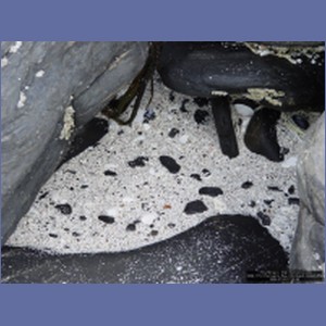 2006_1712_Porcupine_Bay_Chichagof_Island.JPG