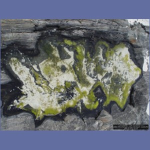 2006_1716_Porcupine_Bay_Chichagof_Island.JPG