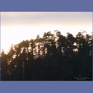 2006_1726_Porcupine_Bay_Chichagof_Island.JPG