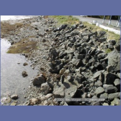 2000_460_Port_Hardy.html