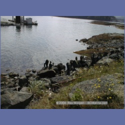 2000_461_Port_Hardy.html