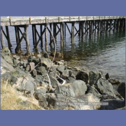 2000_462_Port_Hardy.html