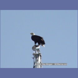 2004_6282_Port_Hardy.html