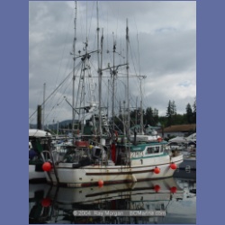 2004_8090_Port_Hardy.html