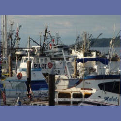 2004_8126_Port_Hardy.html