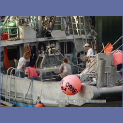 2004_8135_Port_Hardy.html