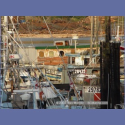 2004_8136_Port_Hardy.html