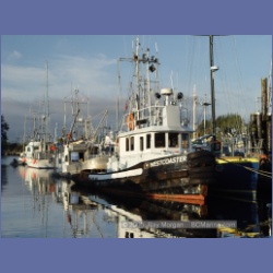 2005_2333_Port_Hardy_Harbour.html