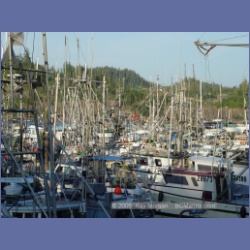 2005_2338_Port_Hardy_Harbour.html