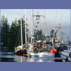 2005_2343_Port_Hardy_Harbour.html