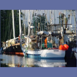 2005_2344_Port_Hardy_Harbour.html