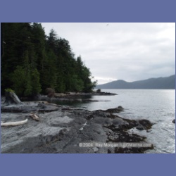 2003_2419_Port_Renfrew.html