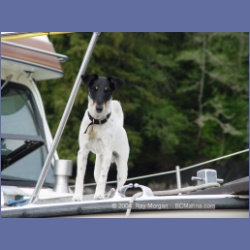 2003_2440_Jimmy_Port_Renfrew.html