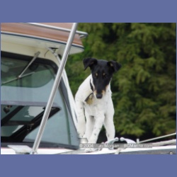 2003_2441_Jimmy_Port_Renfrew.html