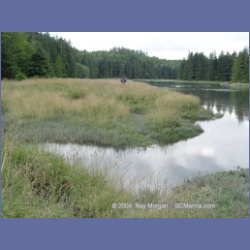 2003_4823_Potts_Lagoon_Cracroft_Island.html