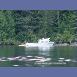 2003_4855_Potts_Lagoon_Cracroft_Island.html