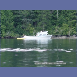 2003_4856_Potts_Lagoon_Cracroft_Island.html