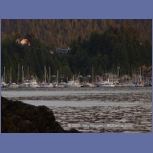 2005_1686_Prince_Rupert_Harbour.JPG