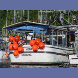 2006_0543_Prince_Rupert_Harbour.JPG