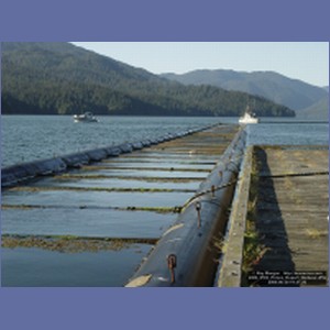 2006_0553_Prince_Rupert_Harbour.JPG