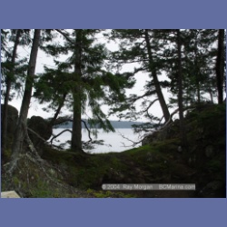 2003_1447_Princess_Cove_Wallace_Island.html