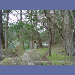 2003_1449_Princess_Cove_Wallace_Island.html