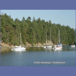 2003_5055_Princess_Bay_Wallace_Island.html
