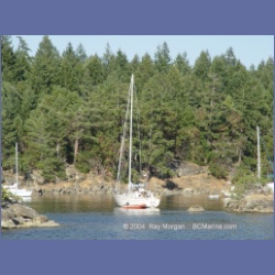 2003_5057_Princess_Bay_Wallace_Island.html